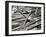 Tahoe Snow 2-Lee Peterson-Framed Photographic Print