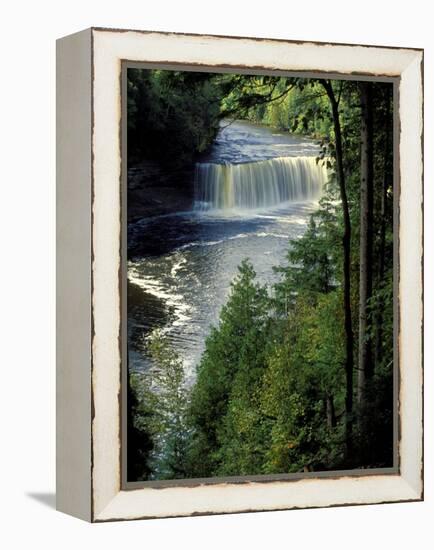 Tahquamenon Falls, Tahquamenon Falls State Park, Michigan, USA-Claudia Adams-Framed Premier Image Canvas