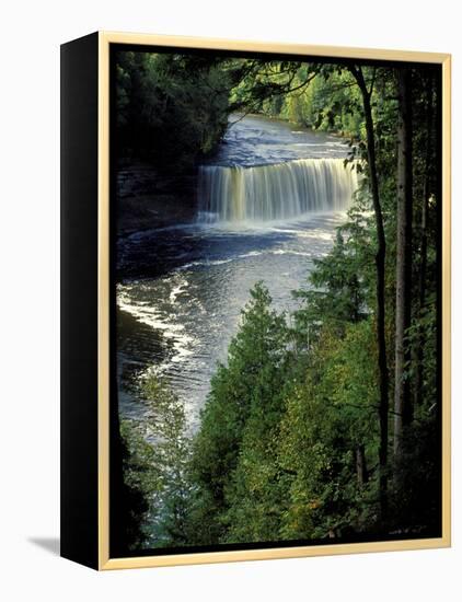 Tahquamenon Falls, Tahquamenon Falls State Park, Michigan, USA-Claudia Adams-Framed Premier Image Canvas