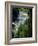 Tahquamenon Falls, Tahquamenon Falls State Park, Michigan, USA-Claudia Adams-Framed Photographic Print