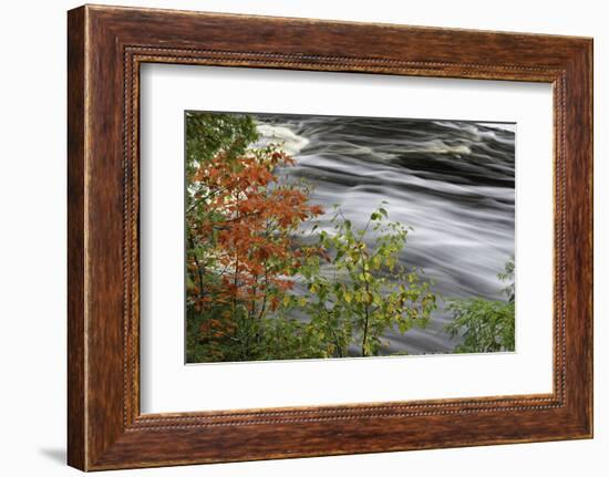 Tahquamenon Falls, Tahquamenon Falls State Park, Michigan-Adam Jones-Framed Photographic Print