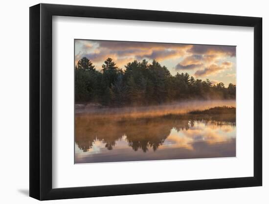 Tahquamenon River at sunrise, Paradise, Michigan.-Adam Jones-Framed Photographic Print