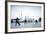 Tai Chi on the Bund (With Pudong Skyline Behind), Shanghai, China-Jon Arnold-Framed Photographic Print