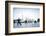 Tai Chi on the Bund (With Pudong Skyline Behind), Shanghai, China-Jon Arnold-Framed Photographic Print