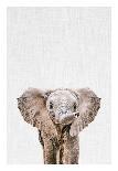Baby Elephant-Tai Prints-Art Print