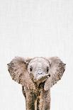 Baby Elephant-Tai Prints-Mounted Art Print