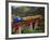 Taieri Gorge Train, near Dunedin, Otago, New Zealand-David Wall-Framed Photographic Print