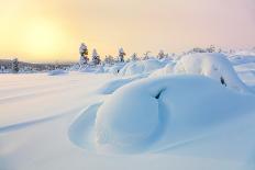 Beautiful Northern Winter Landscape - Sunset, Snow Covered Pine Trees and Big Snowbanks-Taiga-Photographic Print