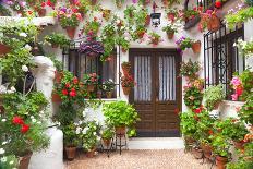 Flowers Decoration of Vintage Courtyard, Typical House in Cordoba - Spain, European Travel-Taiga-Framed Photographic Print