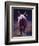 Tail End-Cheri Christensen-Framed Giclee Print