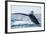 Tail of Whale/Whale Show the Tail above Water/It's a Excellent Photo, Picture, Illustration of Wild-Kirill Dorofeev-Framed Photographic Print