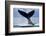 Tail Slapping Humpback Whale, Alaska-Paul Souders-Framed Photographic Print
