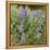 Tailcup Lupines, Cerrososo Canyon, New Mexico-Maresa Pryor-Framed Premier Image Canvas