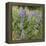 Tailcup Lupines, Cerrososo Canyon, New Mexico-Maresa Pryor-Framed Premier Image Canvas