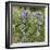 Tailcup Lupines, Cerrososo Canyon, New Mexico-Maresa Pryor-Framed Photographic Print