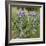 Tailcup Lupines, Cerrososo Canyon, New Mexico-Maresa Pryor-Framed Photographic Print