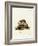 Tailless Tenrec-null-Framed Giclee Print