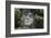 Taino Indian Sculpture, Isabela, Puerto Rico-George Oze-Framed Photographic Print