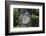 Taino Indian Sculpture, Isabela, Puerto Rico-George Oze-Framed Photographic Print