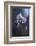 Tainted Love-Fabien Bravin-Framed Photographic Print