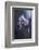 Tainted Love-Fabien Bravin-Framed Photographic Print