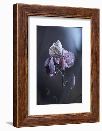 Tainted Love-Fabien Bravin-Framed Photographic Print