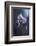 Tainted Love-Fabien Bravin-Framed Photographic Print