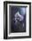 Tainted Love-Fabien Bravin-Framed Photographic Print