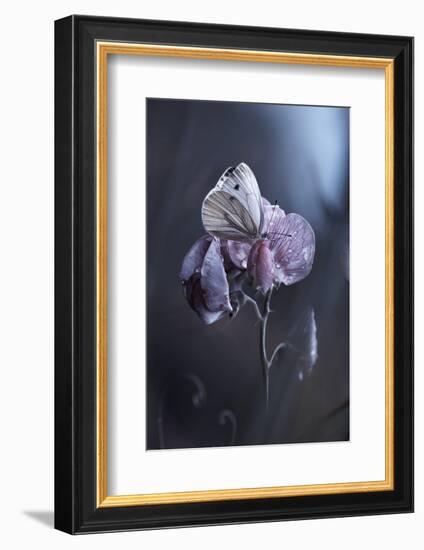 Tainted Love-Fabien Bravin-Framed Photographic Print