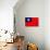 Taiwan Flag Design with Wood Patterning - Flags of the World Series-Philippe Hugonnard-Premium Giclee Print displayed on a wall