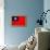 Taiwan Flag Design with Wood Patterning - Flags of the World Series-Philippe Hugonnard-Framed Stretched Canvas displayed on a wall