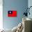 Taiwan Flag Design with Wood Patterning - Flags of the World Series-Philippe Hugonnard-Framed Stretched Canvas displayed on a wall