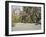 Taizo, Stone Garden in Temple, Kyoto, Japan, Asia-Michael Jenner-Framed Photographic Print