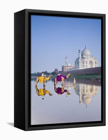 Taj Mahal, Agra, Uttar Pradesh, India-Doug Pearson-Framed Premier Image Canvas