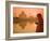 Taj Mahal, Agra, Uttar Pradesh, India-Doug Pearson-Framed Photographic Print