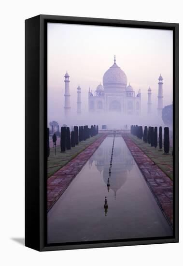 Taj Mahal at Dawn, UNESCO World Heritage Site, Agra, Uttar Pradesh, India, Asia-Peter Barritt-Framed Premier Image Canvas