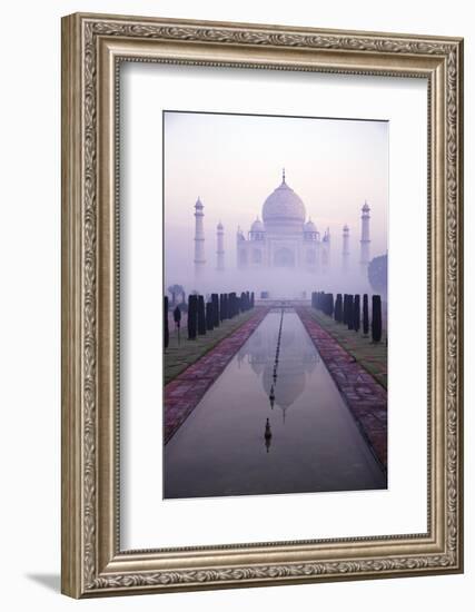 Taj Mahal at Dawn, UNESCO World Heritage Site, Agra, Uttar Pradesh, India, Asia-Peter Barritt-Framed Photographic Print