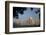 Taj Mahal at Sunrise, UNESCO World Heritage Site, Agra, Uttar Pradesh, India, Asia-Peter Barritt-Framed Photographic Print