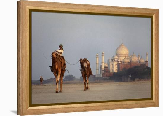 Taj Mahal Camels-Charles Bowman-Framed Premier Image Canvas