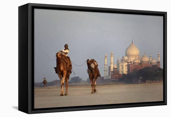 Taj Mahal Camels-Charles Bowman-Framed Premier Image Canvas