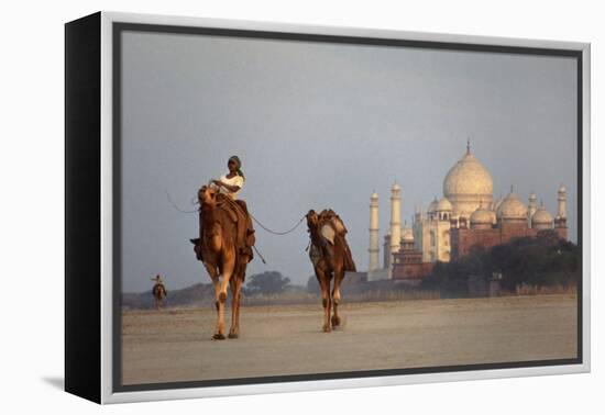 Taj Mahal Camels-Charles Bowman-Framed Premier Image Canvas