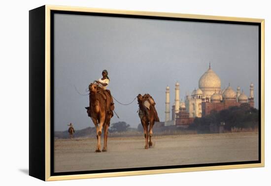 Taj Mahal Camels-Charles Bowman-Framed Premier Image Canvas