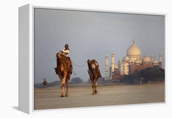 Taj Mahal Camels-Charles Bowman-Framed Premier Image Canvas