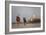 Taj Mahal Camels-Charles Bowman-Framed Photographic Print