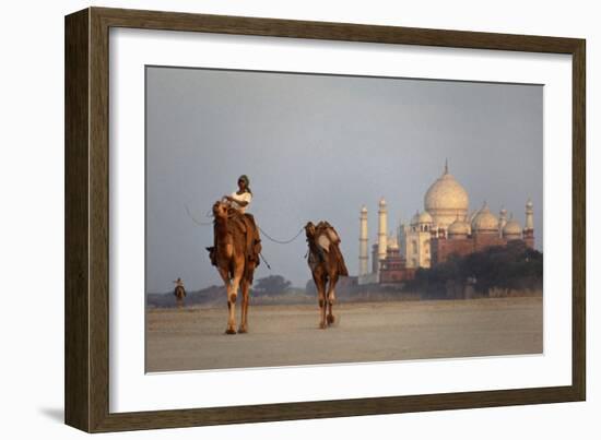Taj Mahal Camels-Charles Bowman-Framed Photographic Print
