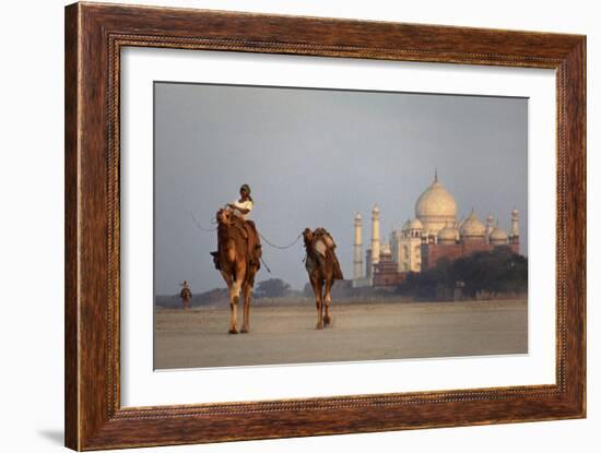 Taj Mahal Camels-Charles Bowman-Framed Photographic Print