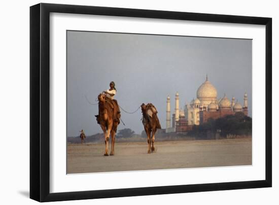 Taj Mahal Camels-Charles Bowman-Framed Photographic Print