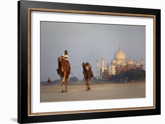 Taj Mahal Camels-Charles Bowman-Framed Photographic Print