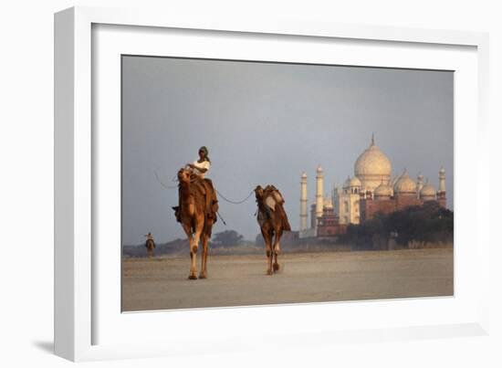 Taj Mahal Camels-Charles Bowman-Framed Photographic Print