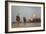 Taj Mahal Camels-Charles Bowman-Framed Photographic Print